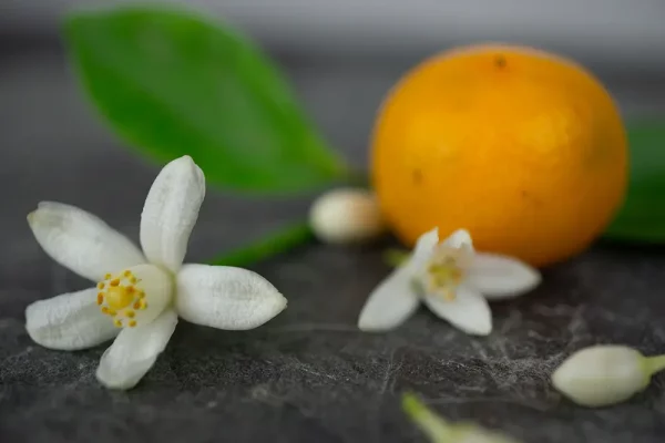 Belebende Orange-Mandarinen-Seife von der Seifenmanufaktur Sima‘s