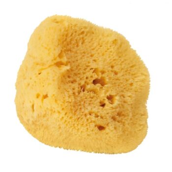 Levantiner Silk Schwamm