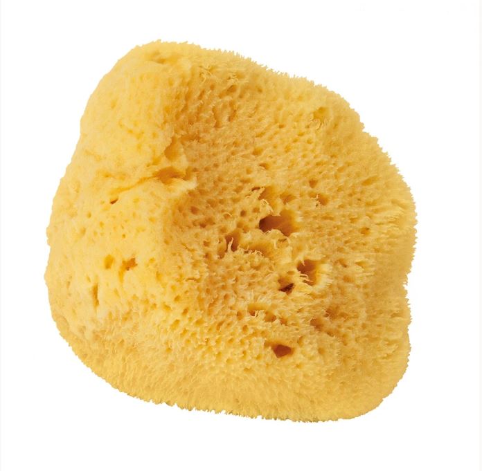 Levantiner Silk Schwamm